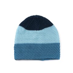 Art of Polo Müts | sinine cz17335-2 Universaalne hind ja info | Naiste mütsid ja peapaelad | kaup24.ee