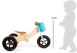 Tasakaaluratas Treeningratas Bike-Trike 2-in-1 Turquoise Maxi – SF hind ja info | Jooksurattad | kaup24.ee