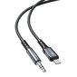 Acefast audio cable MFI Lightning - 3.5mm mini jack (male) 1.2m, AUX gray (C1-06 deep space gray) цена и информация | Mobiiltelefonide kaablid | kaup24.ee