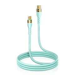 Joyroom Liquid Silicone USB Type C - USB Type C charging / data cable PD 100W 2m green (S-2050N18-10) цена и информация | Кабели для телефонов | kaup24.ee