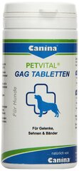 Canina tabletid Petvital GAG N90 hind ja info | Toidulisandid ja parasiitide vastased tooted | kaup24.ee