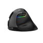 Delux Wireless 2.4G+BT Ergonomic Mouse M618Mini hind ja info | Hiired | kaup24.ee