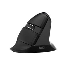 Delux Wireless 2.4G+BT Ergonomic Mouse M618Mini hind ja info | Hiired | kaup24.ee