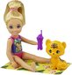 Mattel - Barbie and Chelsea The Lost Birthday Doll & Splashtastic Pool Surprise Playset hind ja info | Tüdrukute mänguasjad | kaup24.ee