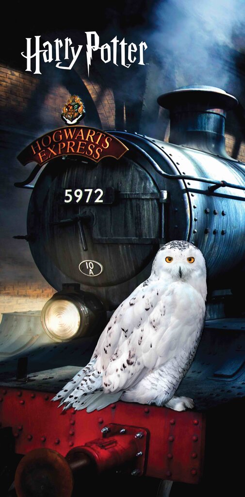 Rannarätik Harry Potter Hedvig, 70 x 140 cm цена и информация | Rätikud, saunalinad | kaup24.ee