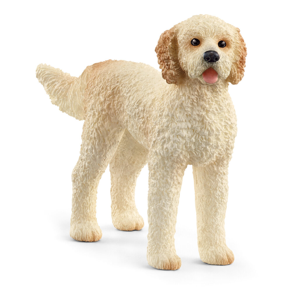 Koerakujuke Schleich Farm World Goldendoodle hind ja info | Poiste mänguasjad | kaup24.ee