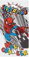 Rannarätik Spiderman Pop, 70 x 140 cm цена и информация | Полотенца | kaup24.ee
