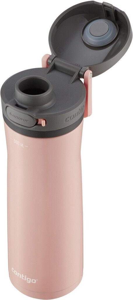 Veepudel Contigo Jackson Chill 2.0 SS Pink Lemo 590ml, 2156482 цена и информация | Joogipudelid | kaup24.ee