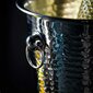 Jäätisekopp šampanja, veini või viina jaoks Kinghoff KH-1505 цена и информация | Klaasid, tassid ja kannud | kaup24.ee