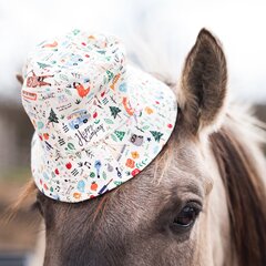 Art of Polo Hat | Valge, mitmevärviline cz22142-2 цена и информация | Шапки, перчатки, шарфы для девочек | kaup24.ee