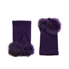 Перчатки Art of Polo | фиолетовые rk2207-3 цена и информация | Женские перчатки | kaup24.ee