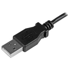 StarTech USB32DP24K60 цена и информация | Кабели и провода | kaup24.ee