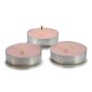 tea lights cinnamon 2 cm wax light pink 30 pieces - hind ja info | Küünlad, küünlajalad | kaup24.ee