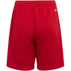 Шорты Adidas Ent22 Short Y Red H57501 цена и информация | Шорты для мальчиков | kaup24.ee