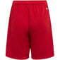 Adidas Lühikesed Püksid Ent22 Short Y Red H57501 hind ja info | Poiste lühikesed püksid | kaup24.ee