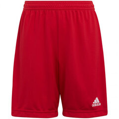 Adidas Lühikesed Püksid Ent22 Short Y Red H57501 цена и информация | Шорты для мальчиков | kaup24.ee