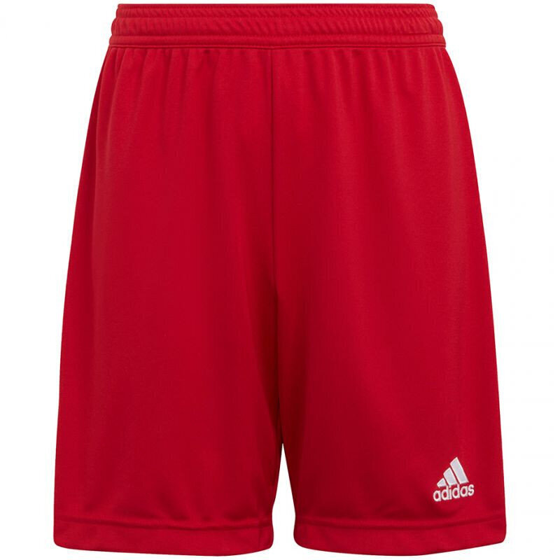 Adidas Lühikesed Püksid Ent22 Short Y Red H57501 hind ja info | Poiste lühikesed püksid | kaup24.ee