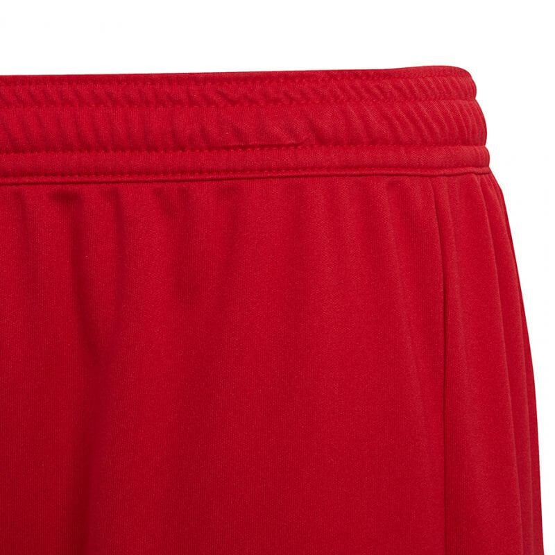 Adidas Lühikesed Püksid Ent22 Short Y Red H57501 hind ja info | Poiste lühikesed püksid | kaup24.ee