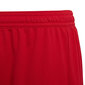 Adidas Lühikesed Püksid Ent22 Short Y Red H57501 цена и информация | Poiste lühikesed püksid | kaup24.ee