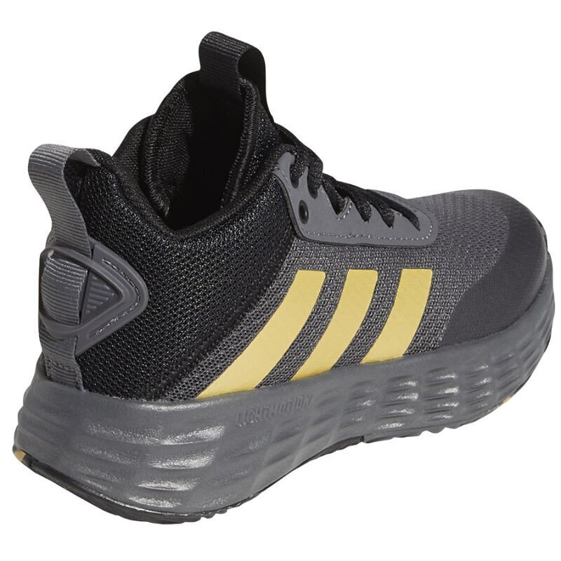 Adidas Jalatsid Ownthegame 2.0 K Grey GZ3381 цена и информация | Laste spordijalatsid | kaup24.ee