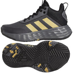 Adidas Jalatsid Ownthegame 2.0 K Grey GZ3381 цена и информация | Детская спортивная обувь | kaup24.ee