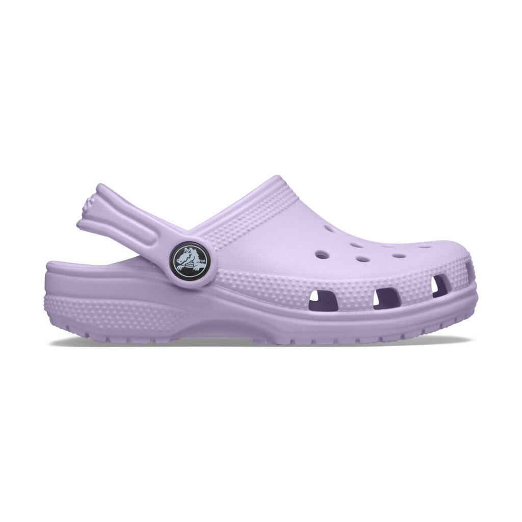 Crocs™ Classic Clog Kid's 206990 165977 hind ja info | Laste sussid ja plätud | kaup24.ee