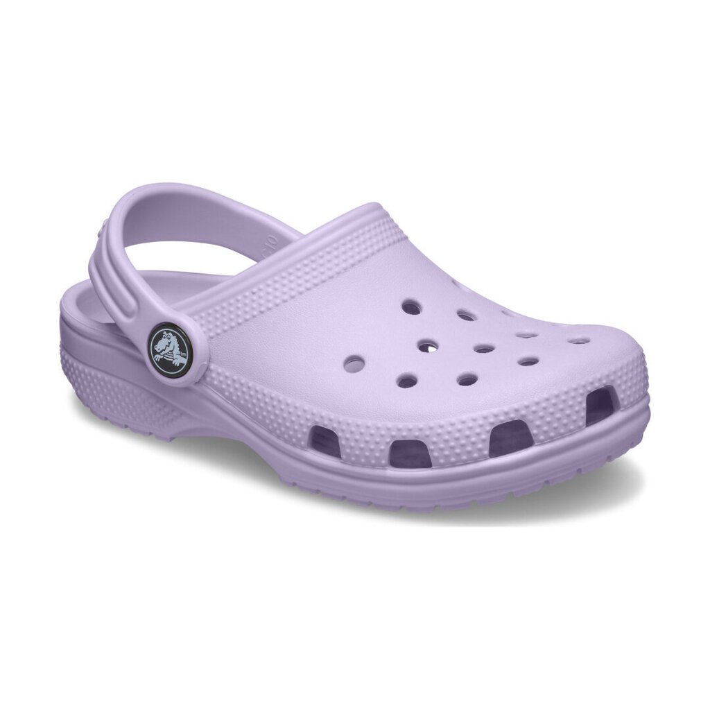 Crocs™ Classic Clog Kid's 206990 165977 hind ja info | Laste sussid ja plätud | kaup24.ee