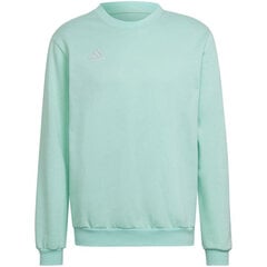 Adidas Džemprid Ent22 Sweat Top Mint HC5047 hind ja info | Meeste pusad | kaup24.ee