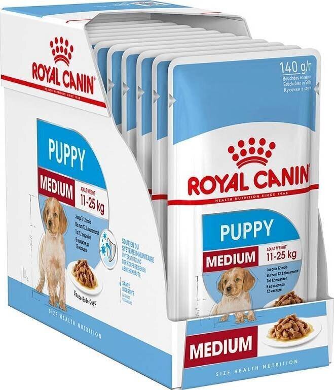 Royal Canin Karma SHN Medium Puppy koerte märgtoit, 10x140 g цена и информация | Konservid koertele | kaup24.ee