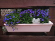 Lillepott 37x10x10cm alusele, kaubaalusele või tarale Easy + kinnituskäepidemed, roosa hind ja info | Lillekastid | kaup24.ee