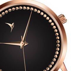 Женские часы Emily Westwood EEN-B029R цена и информация | Женские часы | kaup24.ee