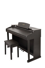 88-клавишное цифровое пианино LiveStar LP-30 цена и информация | Livestar Музыкальные инструменты и аксессуары | kaup24.ee