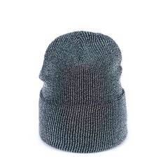Art of Polo Müts | must, hõbedane cz19308-2 hind ja info | Naiste mütsid ja peapaelad | kaup24.ee