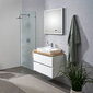 Led valgustusega vannitoapeegel 22 цена и информация | Vannitoa peeglid | kaup24.ee