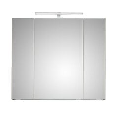 Led valgustusega peegelkapp 31-II hall цена и информация | Шкафчики для ванной | kaup24.ee
