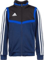 Adidas ДжемперFl Cb Hd Blue Red цена и информация | Свитеры, жилетки, пиджаки для мальчиков | kaup24.ee