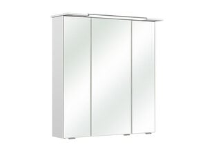 Led valgustusega peegelkapp 54-I valge läige цена и информация | Шкафчики для ванной | kaup24.ee