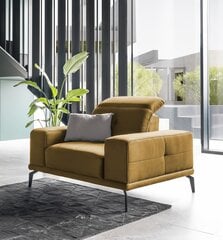 Кресло NORE Torrense, коричневое цена и информация | Кресла в гостиную | kaup24.ee
