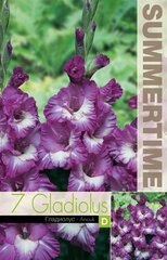 Suureõielised Gladioolid Anouk 7 tk. hind ja info | Lillesibulad | kaup24.ee