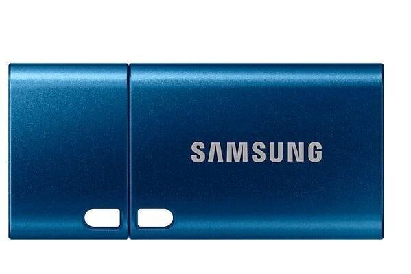 Samsung USB-C™ mälupulk MUF-64DA/APC hind ja info | Mälupulgad | kaup24.ee