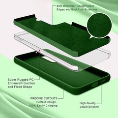 Silikoonist ümbris Samsung Galaxy S22 Plus SoundBerry (real liquide silicone - Easy Clean), roheline - Green City цена и информация | Чехлы для телефонов | kaup24.ee