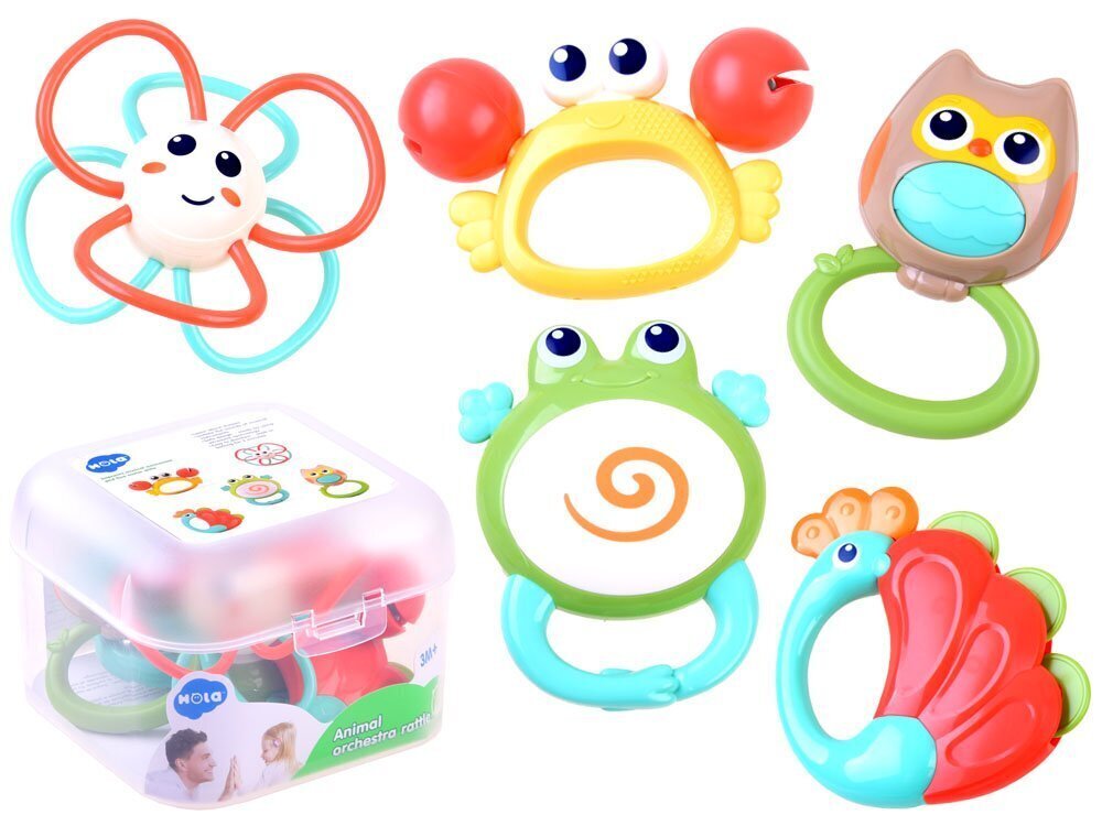 Kõrinate komplekt Hola, 5 osa цена и информация | Imikute mänguasjad | kaup24.ee