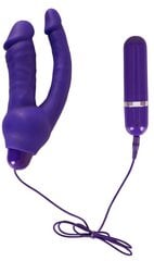 Douple Vibrator Purple hind ja info | Vibraatorid | kaup24.ee