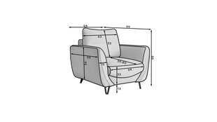 Кресло NORE Silva, темно-серое цена и информация | Кресла в гостиную | kaup24.ee