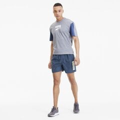 Puma мужские шорты 843727*43, тёмно-синий цена и информация | Мужская спортивная одежда | kaup24.ee