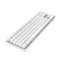 Wireless mechanical keyboard Dareu EK807G 2.4G (white) цена и информация | Клавиатуры | kaup24.ee