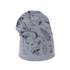 Art of Polo Шапка | светло-серый cz18431-2 цена и информация | Шапки, перчатки, шарфы для девочек | kaup24.ee