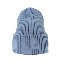 Art of Polo Hat | helesinine cz21809-3 hind ja info | Meeste sallid, mütsid ja kindad | kaup24.ee