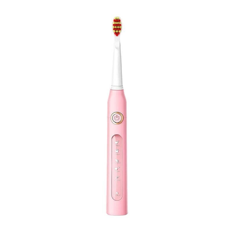 FairyWill Sonic toothbrush with head set and case FW-507 Plus (pink) цена и информация | Elektrilised hambaharjad | kaup24.ee