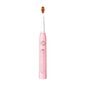 FairyWill Sonic toothbrush with head set and case FW-507 Plus (pink) цена и информация | Elektrilised hambaharjad | kaup24.ee